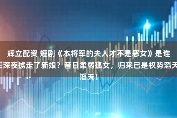 辉立配资 短剧《本将军的夫人才不是恶女》是谁在深夜掳走了新娘？昔日柔弱孤女，归来已是权势滔天！