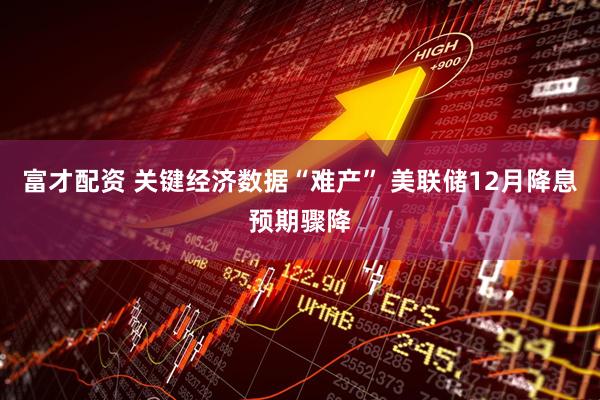 富才配资 关键经济数据“难产” 美联储12月降息预期骤降