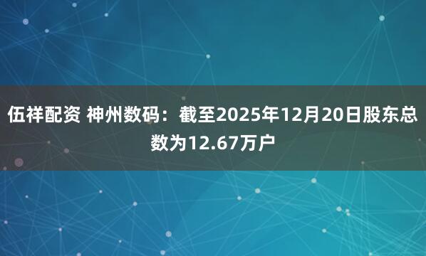 伍祥配资 神州数码：截至2025年12月20日股东总数为12.67万户