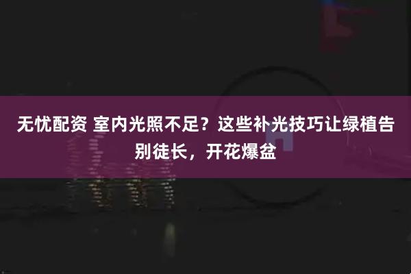 无忧配资 室内光照不足？这些补光技巧让绿植告别徒长，开花爆盆